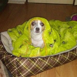 Meet your Posher, Tony